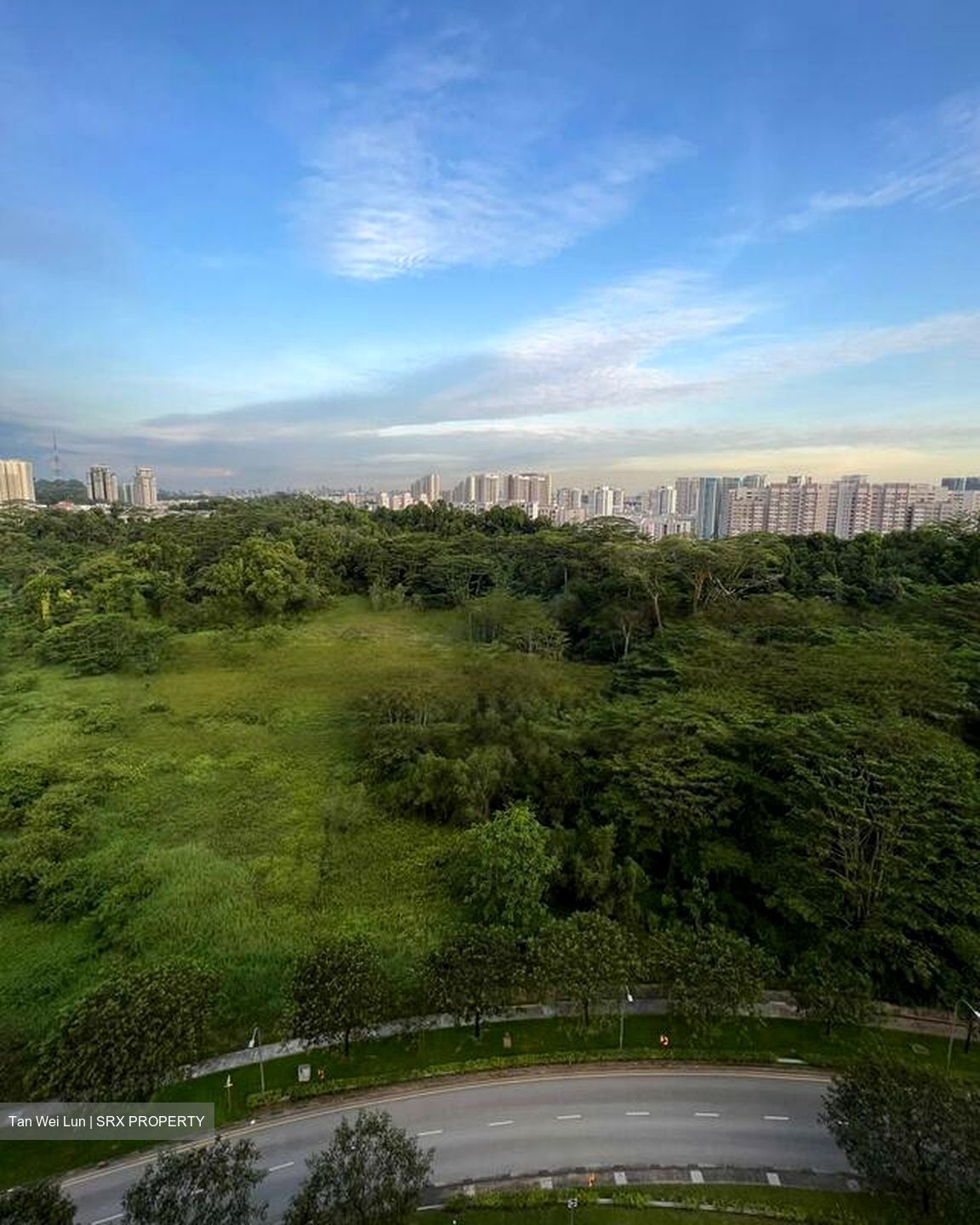 Blk 467A West Plains @ Bukit Batok (Bukit Batok), HDB 4 Rooms #555744761